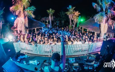 Wild and Free Festival 2019